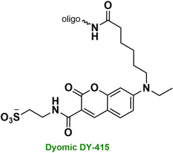 Bio-Synthesis Inc. Oligo Structure